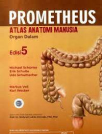 Prometheus atlas anatomi manusia organ dalam